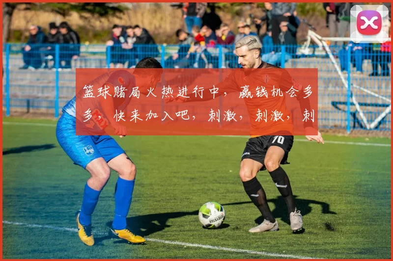 篮球赌局火热进行中，赢钱机会多多，快来加入吧，刺激，刺激，刺激